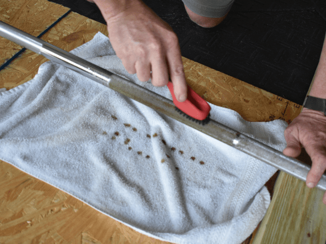 Scrubbing Barbell with Nylon Brush