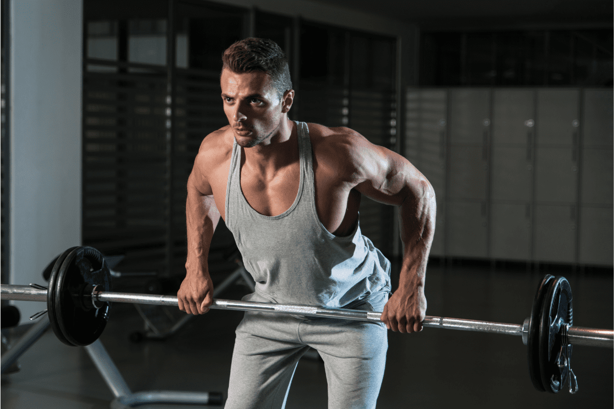 Bent Over Barbell Row How To Muscles Worked Benefits Horton Barbell