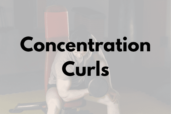 Concentration Curls Cover