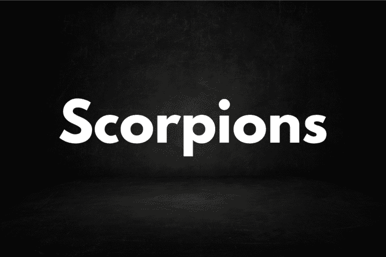 Scorpions (How To, Muscles Worked, Alternatives)