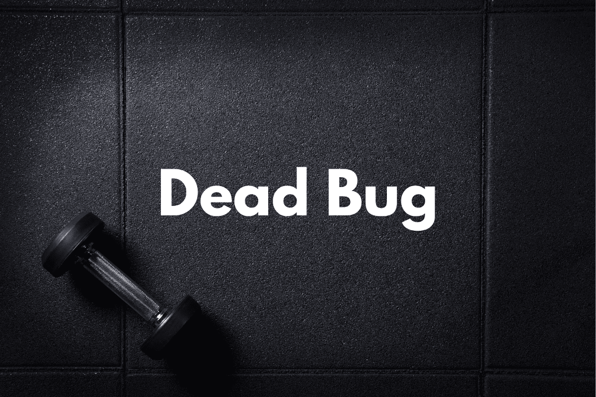 How To Do Dead Bugs Core Exercise