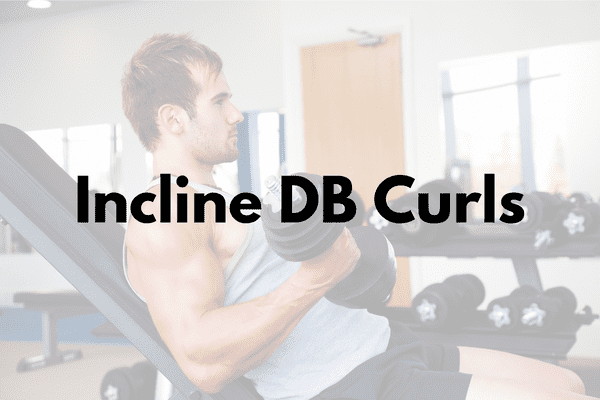 Incline Dumbbell Curls Cover