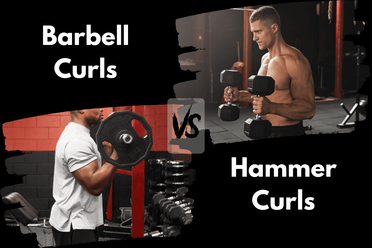 Barbell Curls vs Hammer Curls
