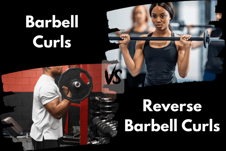 Barbell Curls vs Reverse Barbell Curls (Is One Better?)