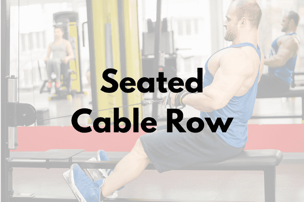 Cable Seated Row Cover
