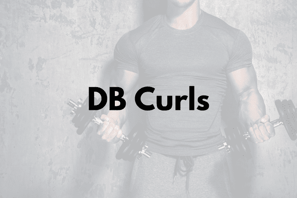 Dumbbell Curls Cover