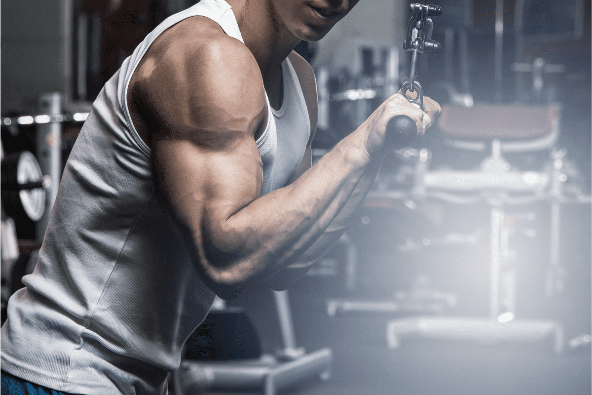 Cable Triceps Pushdown Alternatives