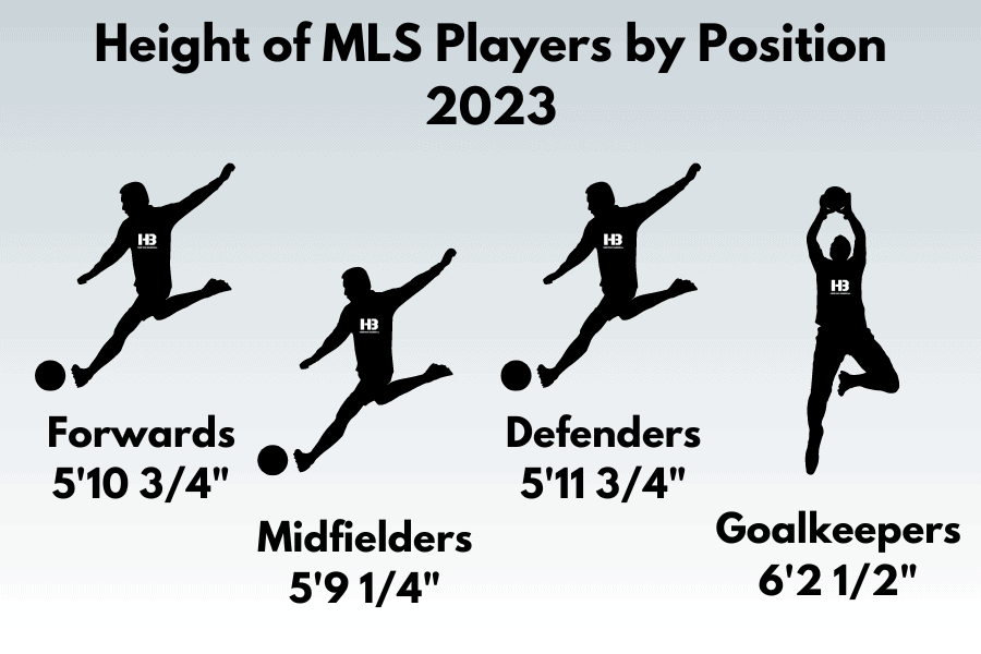 Height of MLS Players by Position 2023