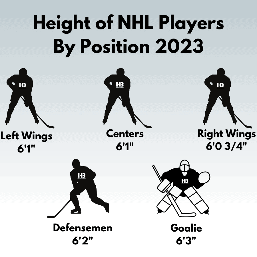 Height of NHL Hockey Players 2024