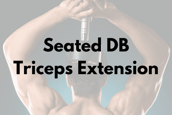 Seated Dumbbell Tricep Extensions Cover