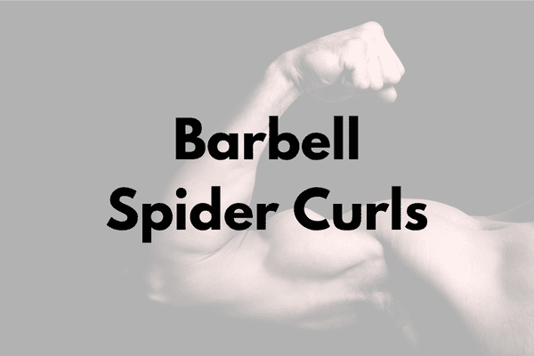 Barbell Spider Curls Cover 2