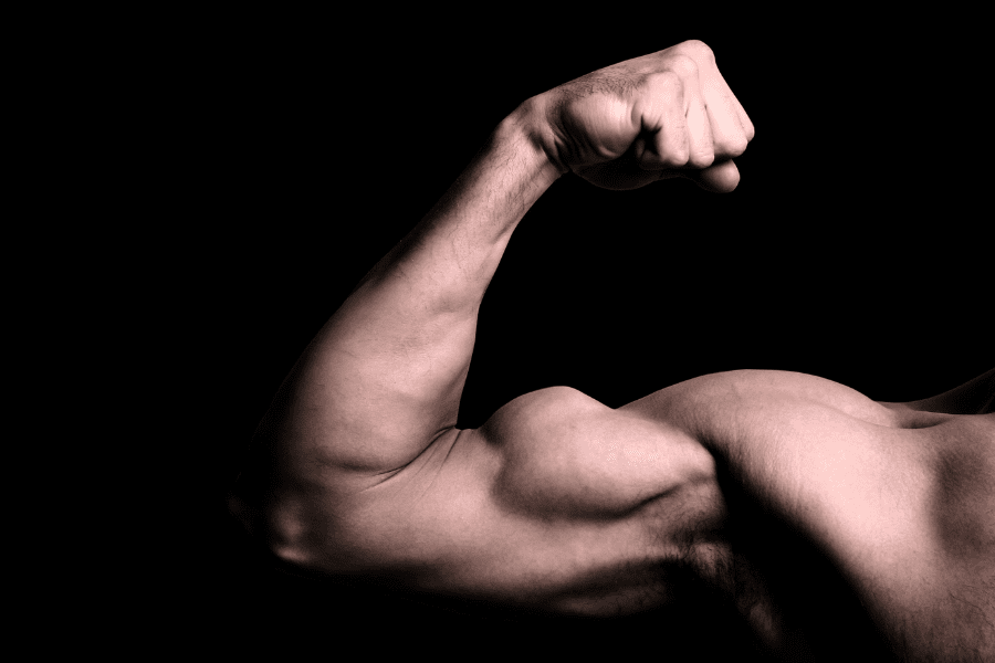 Flexed Biceps