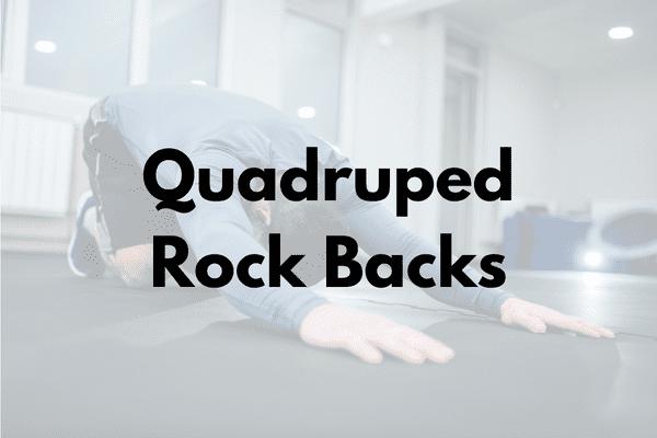 Quadruped Rock Backs Cover