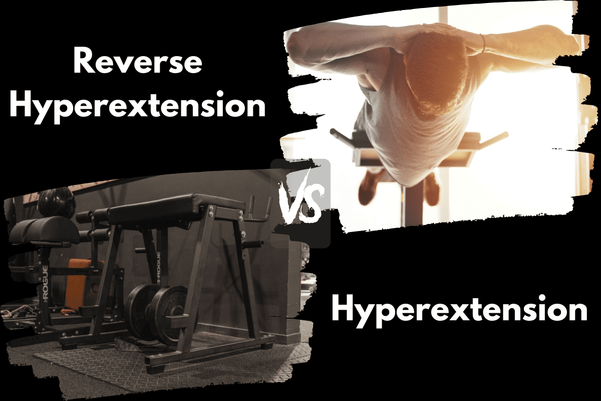 Reverse Hyperextension vs Hyperextension