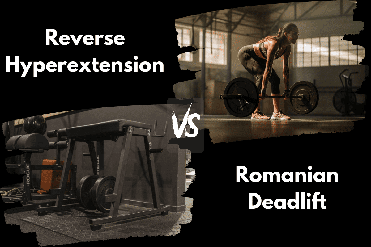 Reverse Hyperextension vs Romanian Deadlift