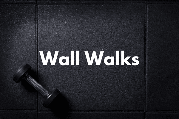 Wall Walks Cover