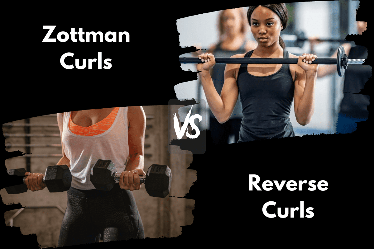 Zottman Curls vs Reverse Curls