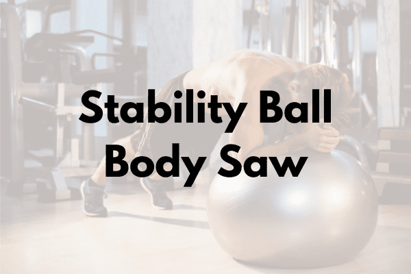 Stability Ball Body Saw Cover