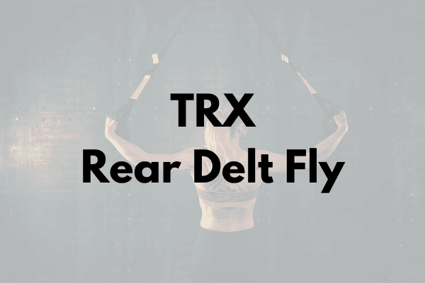 TRX Rear Delt Fly Cover
